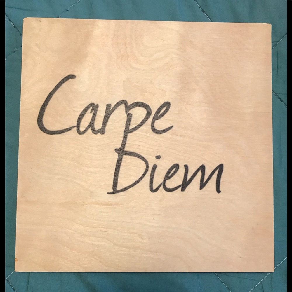 Carpe Diem birchwood wall art 12” by 12”